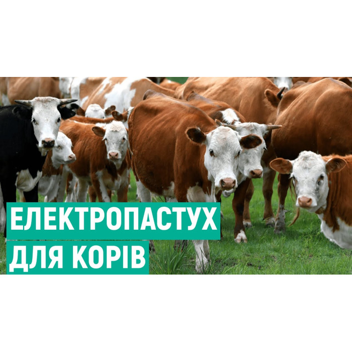 Електропастух для корів та овець EPU-2, (Польща)